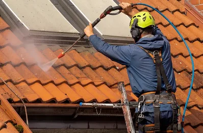 Démoussage et hydrofuge de toiture à Châtin